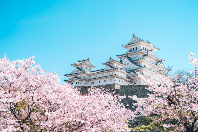 兵庫は観光の宝庫